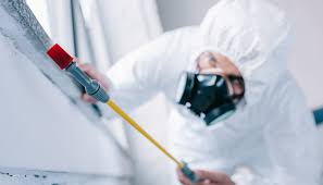 Best Pest Prevention Services  in Avondale, AZ